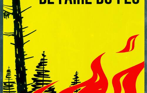Levée de l’interdiction des feux en plein air et assouplissement des restrictions en forêt